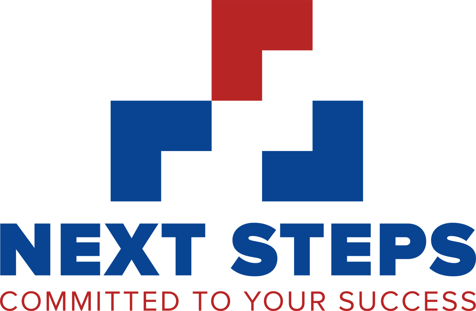 Next Steps Study Logo